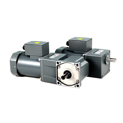 Micro AC / DC Multiple Ratio Gear Motor Hộp số nhỏ gọn Hộp số giảm tốc Tốc độ thay đổi