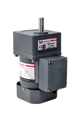 AC 6 - 250W 220V Động cơ giảm tốc nhỏ gọn cho băng tải